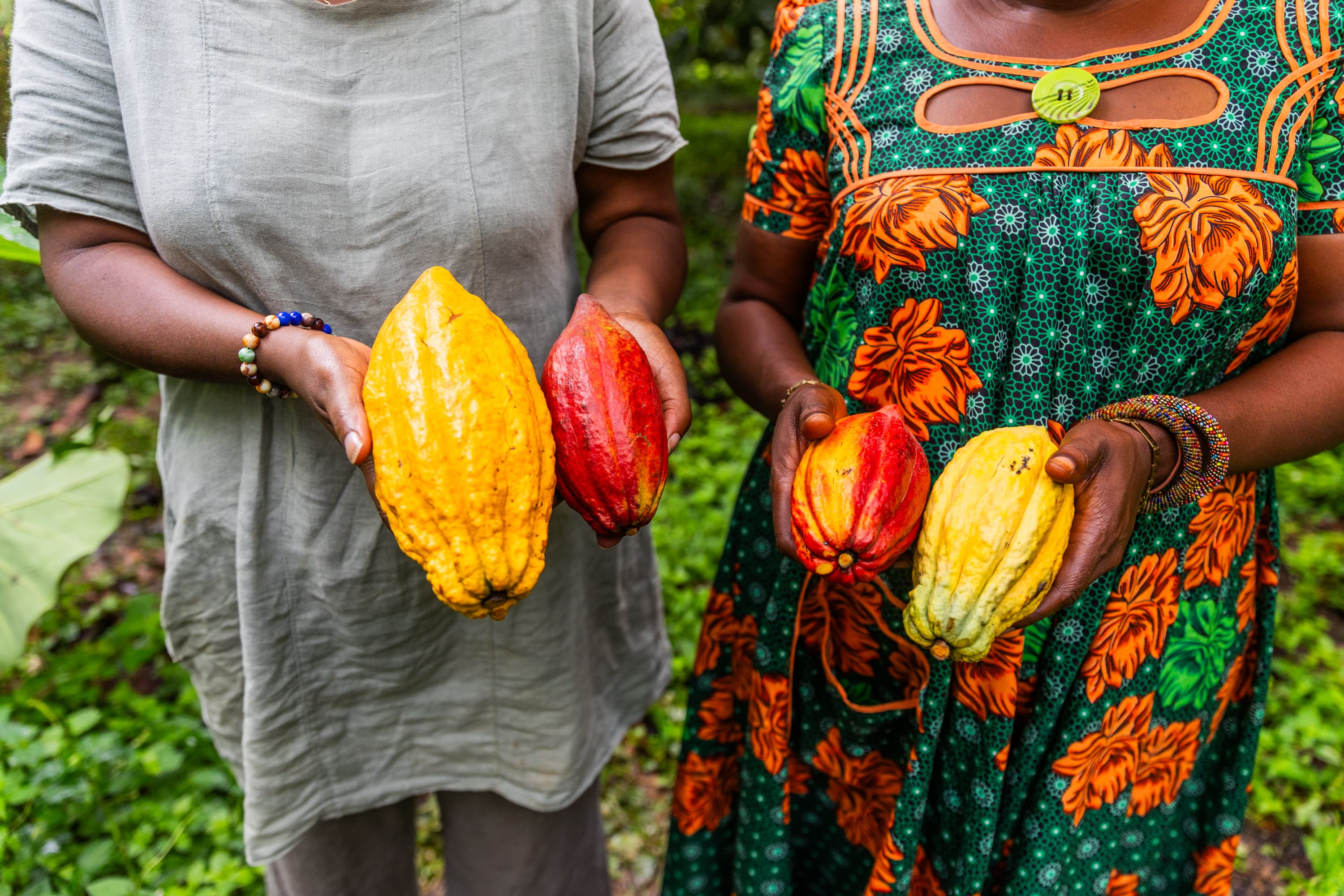 Food & Agriculture System